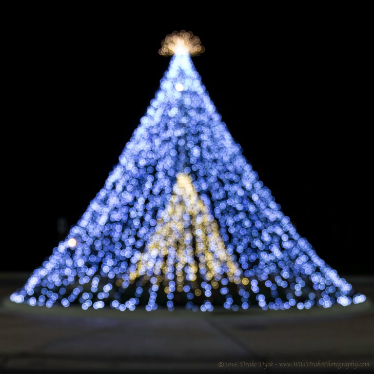 christmas tree shaped light display