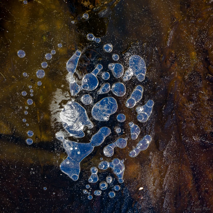 bubbles in the ice on a lake
